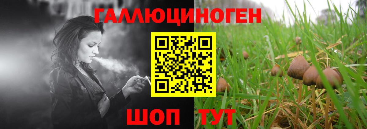 продажа наркотиков  Галлюциногенные грибы MAGIC MUSHROOMS  Галлюциногенные грибы Psilocybine cubensis  Вход с VPN  Камень-на-Оби 