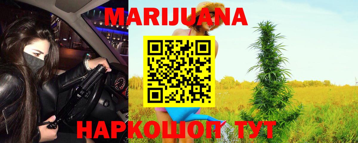 Каннабис планчик Камень-на-Оби